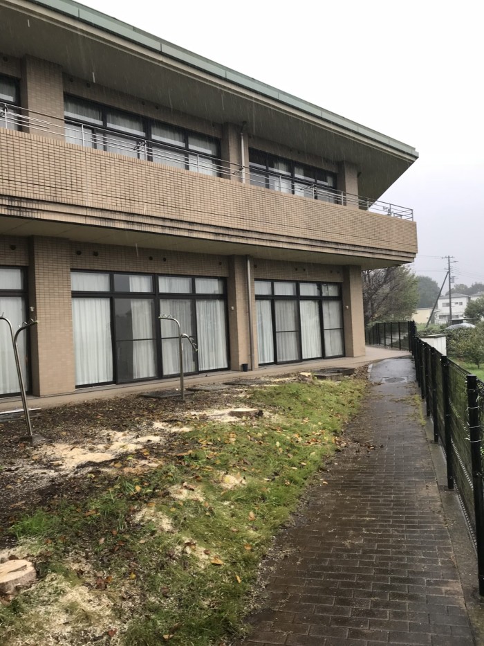 【熊本市】建物まで1mの庭木を安全に特殊伐採｜老人ホームでの枝下ろし・分割作業事例 - After