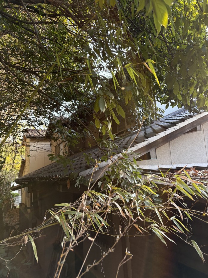 熊本市で裏山の竹・樹木を特殊伐採｜雨樋詰まりと屋根腐食を防ぐ施工事例 - Before
