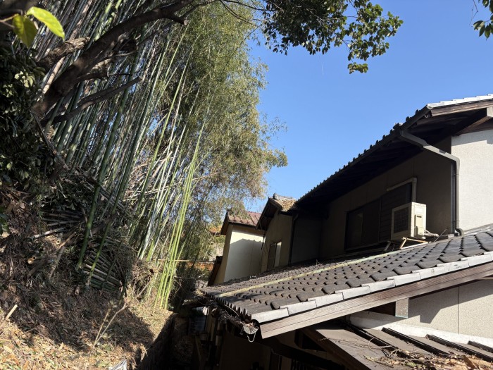 熊本市で裏山の竹・樹木を特殊伐採｜雨樋詰まりと屋根腐食を防ぐ施工事例 - After