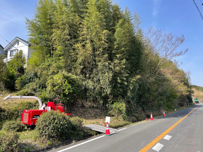 菊池市で道路沿いの危険な竹林を特殊伐採！敷地内からの安全施工と破砕処理 - Before