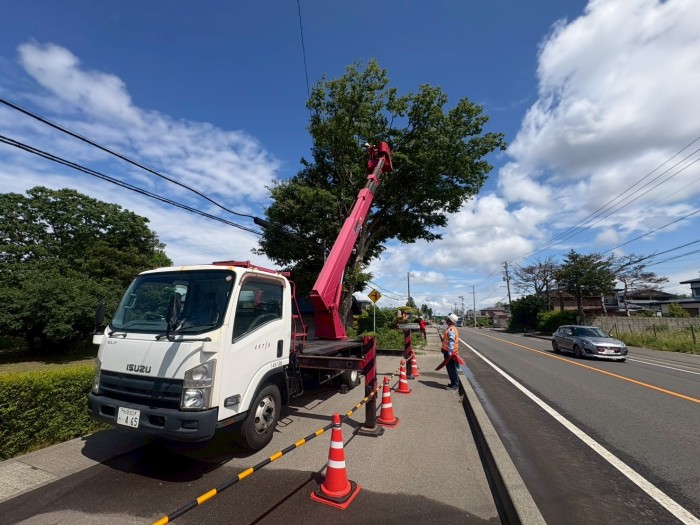 阿蘇郡の特殊伐採事例 - After