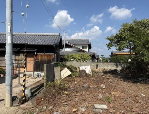 阿蘇郡で電線横の松を特殊伐採｜高所作業車で安全に対応した伐採事例 - After